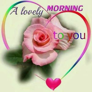 Meet your Posher, Audrey